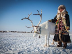 В госпрограммах Якутии появится отдельный «арктический раздел»