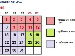 Роструд напомнил о трехдневной рабочей неделе и четырех выходных