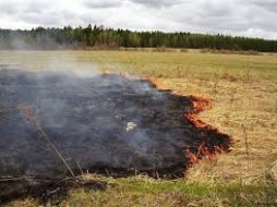 Пожарных в Якутске пять раз за сутки вызывали на возгорание травы на горе Хатынг-Юрях