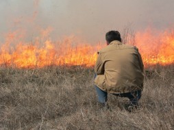 За сутки пожарных шесть раз вызывали на возгорание травы и мусора 