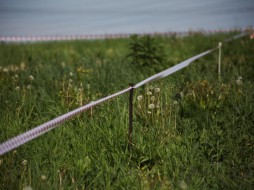 В Якутске в суде рассмотрят дело о мошенничестве с земельными участками 