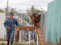 Среди кинологов УФСИН проведены командные соревнования