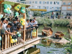 На озеро Щорса в Якутске выпустили черных лебедей и уток