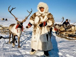 В Якутии выбрали лучшую кочевую семью