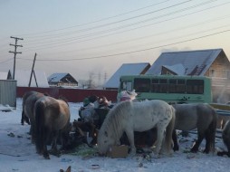 Народный депутат предложил ввести в Якутске пятилетку благоустройства 