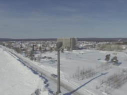 Собаки, напавшие на ребёнка в Ленске, отловлены 