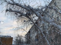 В Якутии ожидается рекордно теплый март