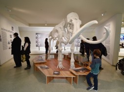 В музее Гуггенхайма в Нью-Йорке открылась выставка Якутии