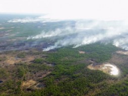 В Якутии действует 14 природных пожаров, есть вероятность задымления в 41 населенном пункте 