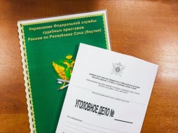 Жительницу Амгинского района Якутии отправили в колонию за неуплату алиментов