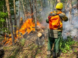 В Якутии ликвидировано три пожара 