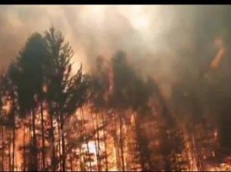 В Якутии возбуждено уголовное дело по факту халатности  при ликвидации лесного пожара в Нюрбинском районе