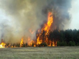 В Сунтарском районе Якутии вводят режим ЧС в связи с лесными пожарами