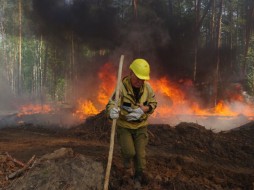 Вблизи Якутска бушует лесной пожар площадью 9 га 
