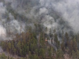 В Горном районе Якутии бушует 21 лесной пожар