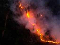 Дым от лесных пожаров в Якутии достиг Аляски