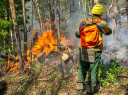 Сухие грозы не являются основной причиной лесных пожаров в Якутии