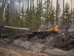 Крупный лесной пожар бушует рядом с селом Кюёрелях в Якутии