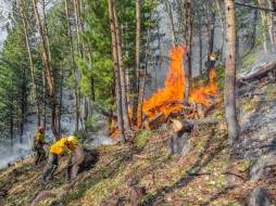 В Якутии десант авиалесоохраны тушит вручную лесные пожары 