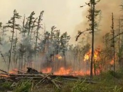 Лесной пожар окольцовывает село Кальвица