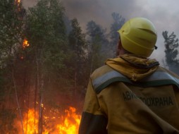 За неделю в Якутии потушено 66 лесных пожаров 