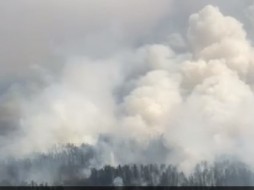 Площадь лесных пожаров в Якутии превысила 6 миллионов гектаров