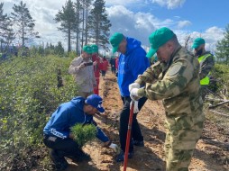 В Нерюнгри стартовала Всероссийская акция «Сохраним лес» 