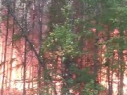 В Якутии площадь сгоревшего леса приближается к 6 млн гектар