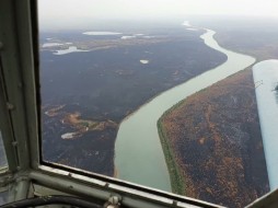 «Зелёные» требуют запретить охоту в Якутии на выживших после пожаров животных