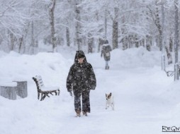 Петербург обновил рекорд по выпавшему снегу