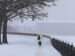 В МЧС предупредили петербуржцев о снегопаде и сильном ветре в воскресенье