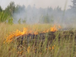 В Якутии стартовала федеральная информационная кампания "Останови огонь!"