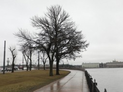 Циклон «Назима» принесет в Петербург дождь и мокрый снег