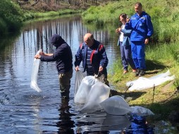 В Вилюйское водохранилище Якутии выпущено 243 тысячи личинок пеляди