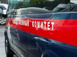 Двухлетняя девочка погибла после падения со шкафа в квартире в Петербурге 