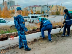 Осужденные посадили 80 саженцев шиповника на улицах Якутска