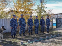 В Якутске служебных собак проверили на знание тактики при  конвоировании и побеге