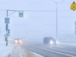 МЧС: сильный туман ожидается в Петербурге 1 ноября 