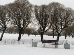 В Петербурге в воскресенье обещают снег с потеплением