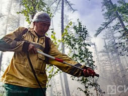 Свыше 2,5 млрд рублей направят в Якутии на охрану лесов от пожаров в 2023 году