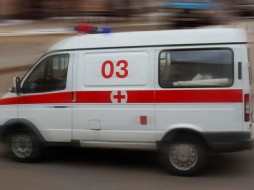 В Петербурге женщина с сыном на руках упала в Малую Неву 