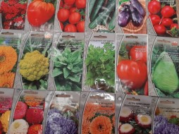 В почтовые отделения Якутии поступили семена овощных и цветочных культур