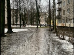 В Петербурге 24 марта похолодает, и пойдет дождь 