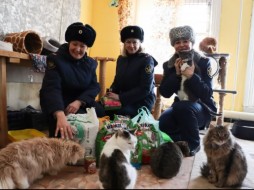 В день кошек женсовет УФСИН Якутии оказал помощь приюту "Четыре лапки"
