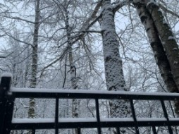 МЧС предупредило петербуржцев о сильном снегопаде 5 марта