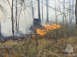 В Олёкминском районе Якутии тушат крупный лесной пожар