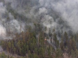 В Якутии тушат два лесных пожара