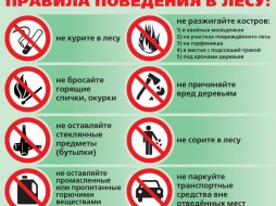 Якутян предупредили об ответственности за нарушение правил пожарной безопасности в лесу