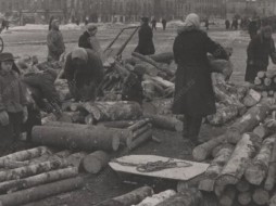 Молодые исследователи истории обороны и блокады Ленинграда получат премии до 150 тыс.руб.