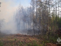 В Якутии число пожаров увеличилось на семь новых очагов